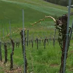 Weingut Primus Suedsteiermark ホームステイ *