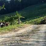 ホームステイ Weingut Primus Suedsteiermark シュピールフェルト