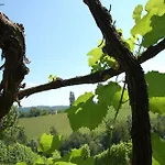 Weingut Primus Suedsteiermark ホームステイ *