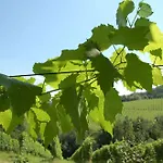 ホームステイ Weingut Primus Suedsteiermark シュピールフェルト