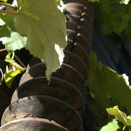 民宿 Weingut Primus Suedsteiermark *