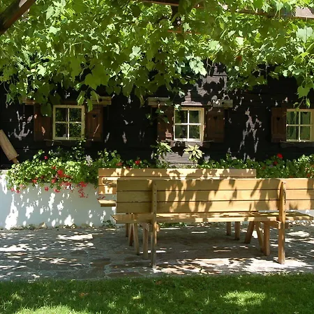 Homestay Weingut Primus Suedsteiermark Spielfeld