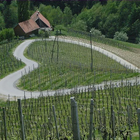 Weingut Primus Suedsteiermark * Spielfeld