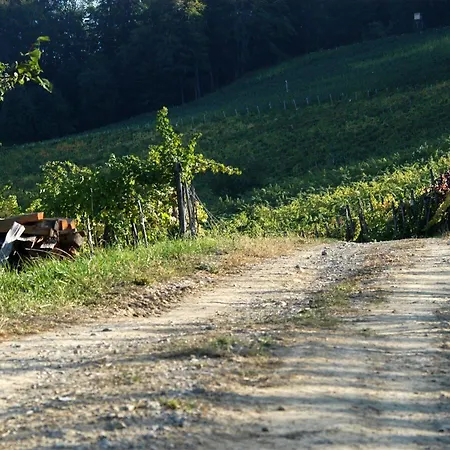 Ubytování v soukromí Weingut Primus Suedsteiermark Spielfeld