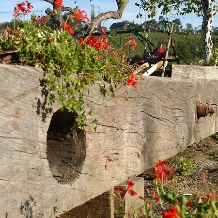 Weingut Primus Suedsteiermark * 施皮尔费尔德