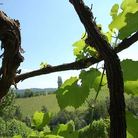 Weingut Primus Suedsteiermark Privat bolig *