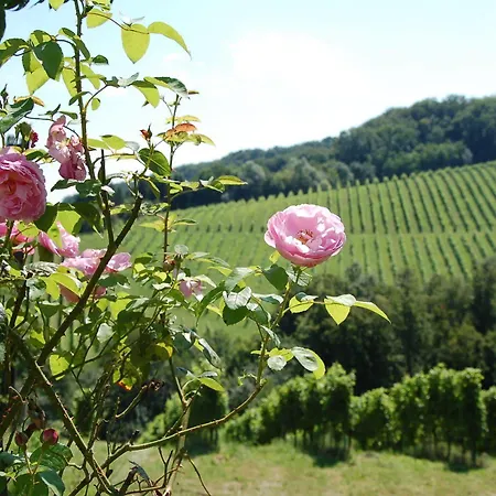 Homestay Weingut Primus Suedsteiermark *