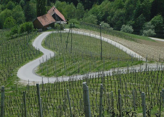 Weingut Primus Suedsteiermark * Spielfeld