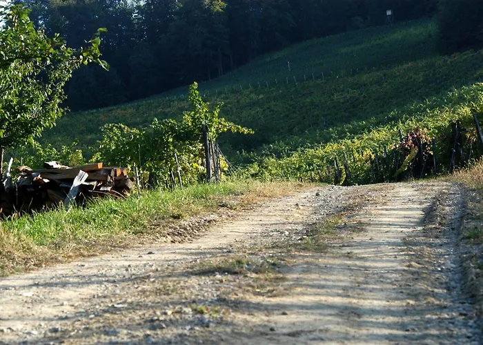 Проживание в семье Weingut Primus Suedsteiermark Шпильфельд