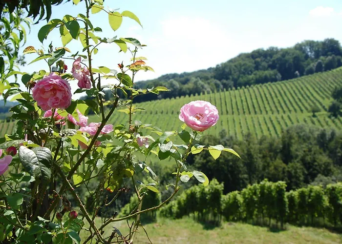 Проживание в семье Weingut Primus Suedsteiermark *